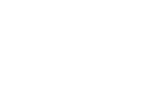HSE Academy logo