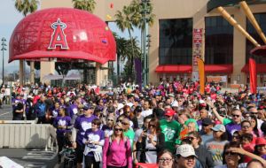 ACC Raises $50,000 for American Heart Association at Heart Walk 2017 Gallery