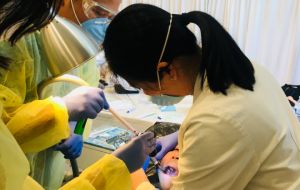 ACC-OC Dental Assisting Students Get Career Head Start at VPASC Health Fair Gallery